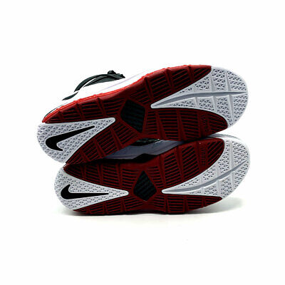 Nike Men's LeBron 3 III QS Home Varsity